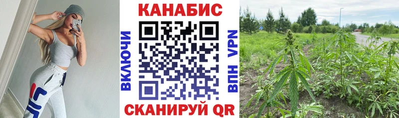 Магазины продажи наркотиков Западная Двина Альфа ПВП  Амфетамин  ГАШИШ  МЕФ 
