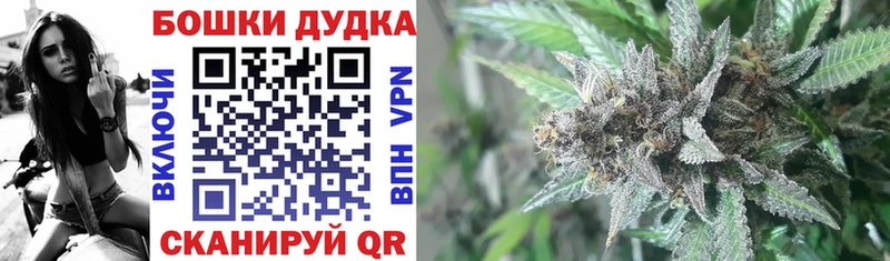 Конопля марихуана  купить наркотики сайты  Западная Двина 